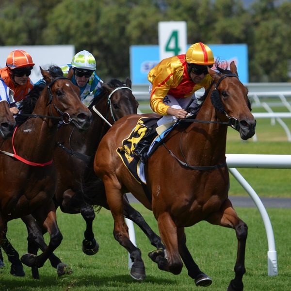 Bilan nutritionnel personnalisé pour les jockeys